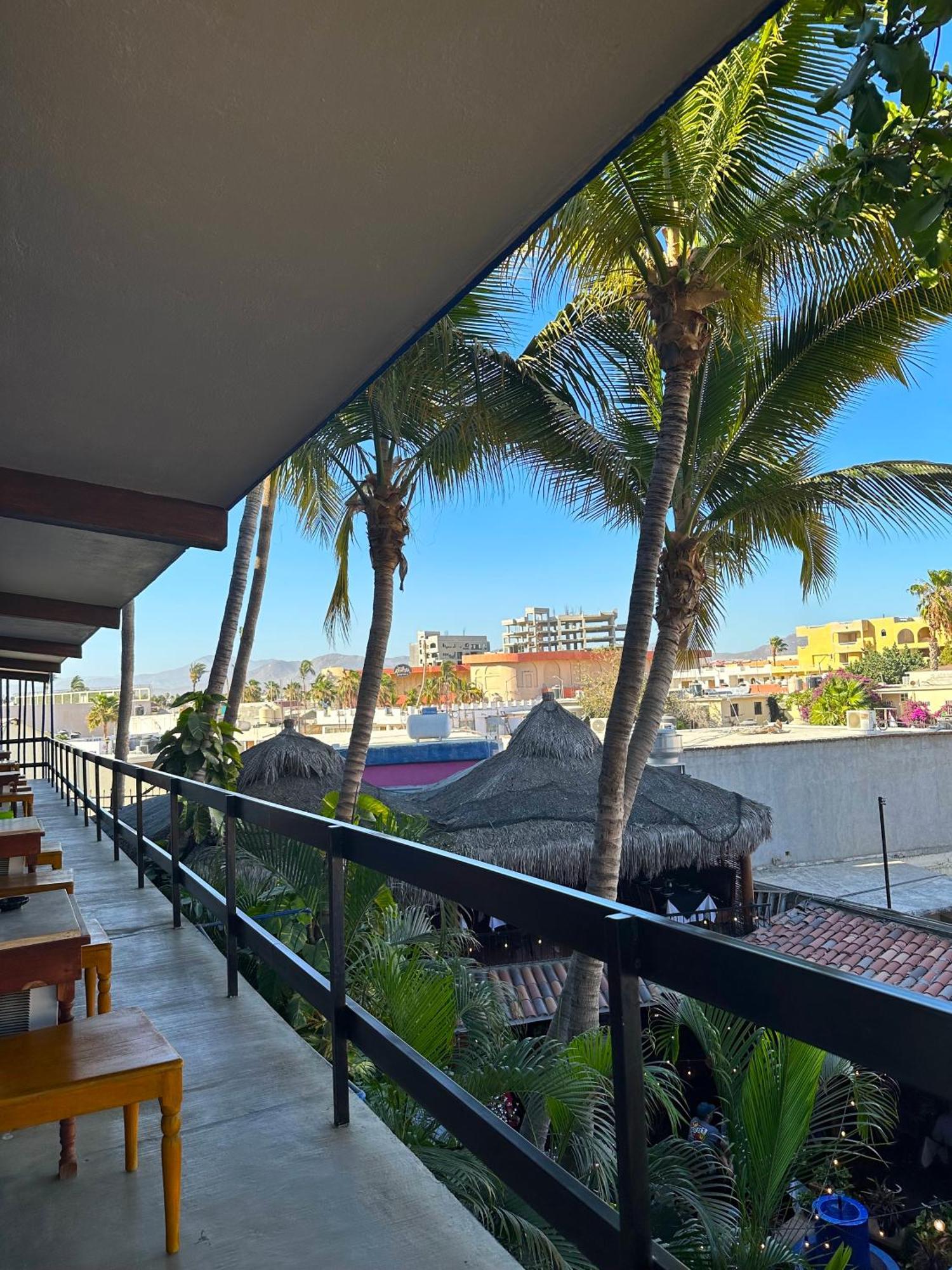 Siesta Suites Boutique Hotel Cabo San Lucas Exterior foto