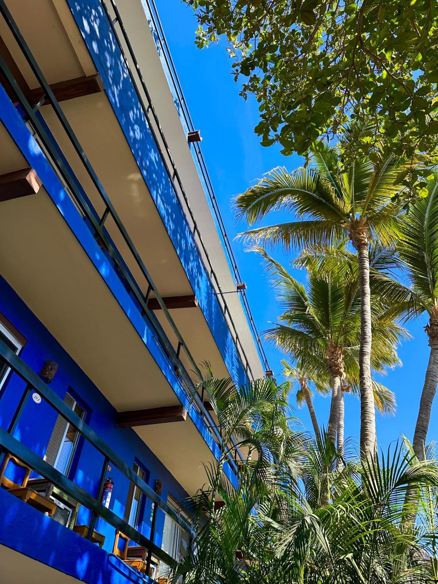 Siesta Suites Boutique Hotel Cabo San Lucas Exterior foto